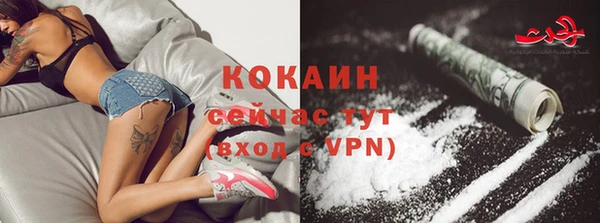 шишки Семилуки
