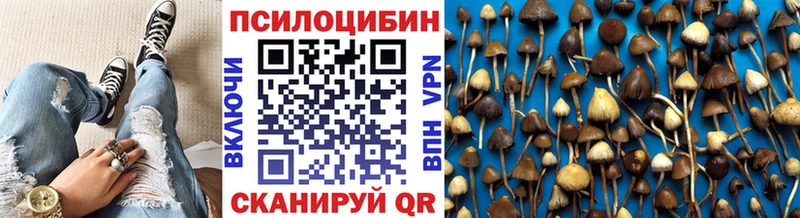 сайты даркнета формула Вихоревка Псилоцибиновые грибы MAGIC MUSHROOMS
